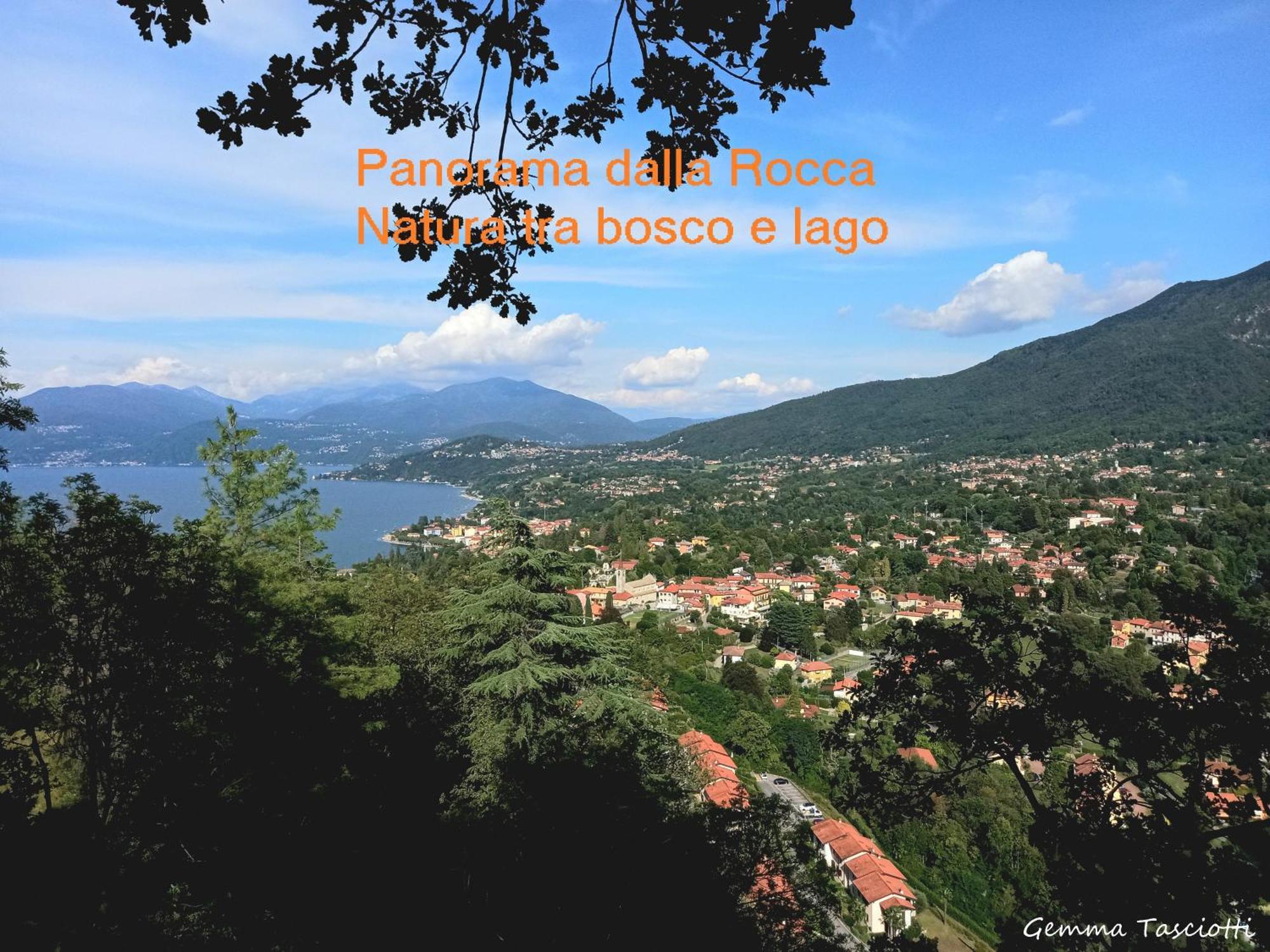 Natura Tra Bosco E Lago Castelveccana Εξωτερικό φωτογραφία